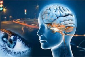 Brain Neuron Research – மூளை நரம்பியல் அறிவியல் 2025