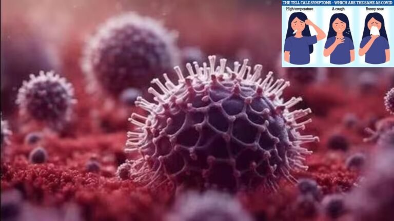 HMPV வைரஸ் இந்தியாவில் 2025 பரவல் – 2 பேர் பாதிப்பு