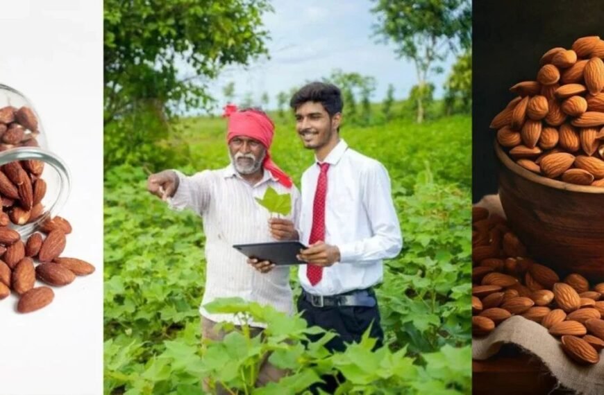 போலி பாதாம் என எchte பாதாமை எப்படி கண்டுபிடிப்பது? | Tips to Identify Fake Almonds in Tamil