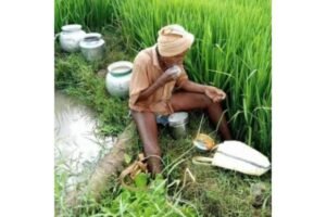 PMFBY திட்டத்தின் மூலம் Indian விவசாயிகள் பெறும் Crop Insurance நன்மைகள்