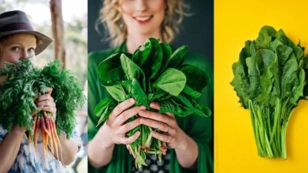3 சிறந்த மருத்துவ கீரைகள் தேர்வு - Best Medicinal Greens for Health