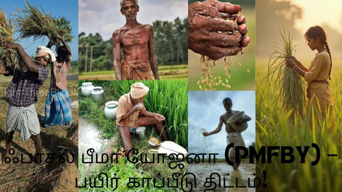 ஃபாசல் பீமா யோஜனா (PMFBY) Crop Insurance Scheme – விவசாயிகளுக்கான பயிர் காப்பீடு திட்டம்