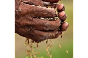 PMFBY திட்டத்தின் நோக்கங்கள் – Crop Insurance Scheme for Indian Farmers