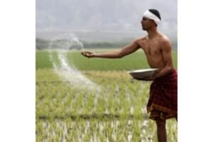 ஃபாசல் பீமா யோஜனா (PMFBY) – விவசாயிகளுக்கான பயிர் காப்பீடு திட்டம்
