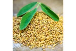 உடல் எடையைக் குறைக்கும் டிப்ஸ் - வெந்தயம் | Weight loss tips with fenugreek in Tamil