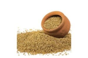 உடல் எடையைக் குறைக்கும் சாமை தினை | Saamai Millet for Effective Weight Loss in Tamil