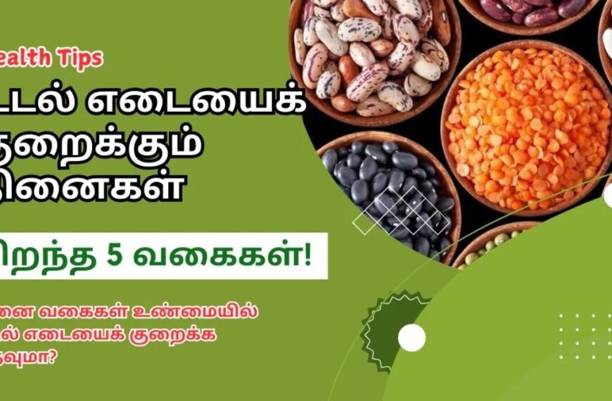 உடல் எடையைக் குறைக்கும் தினைகள் | Top 5 Millets for Natural Weight Loss Tamil