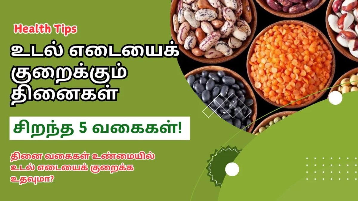 உடல் எடையைக் குறைக்கும் தினைகள் | Top 5 Millets for Natural Weight Loss Tamil