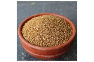வரகரிசி தினையின் நன்மைகள் | Varagu Rice (Barnyard Millet) Health Benefits Tamil