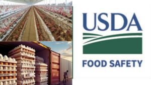 நாமக்கல் முட்டைகள் அமெரிக்கா ஏற்றுமதி | Namakkal Eggs Export to USA - First Time