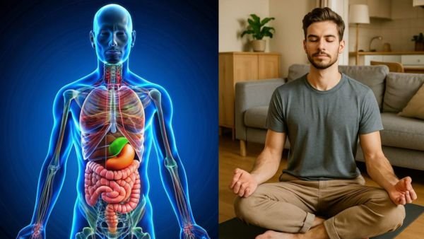 மனித உடல் - இந்த 9 Organs இல்லாமலே வாழ முடியும், நம்பமுடியாத Health Facts in Tamil!