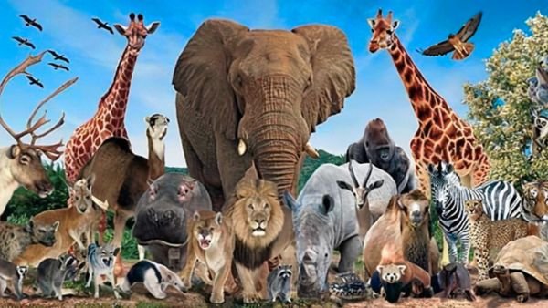 இயற்கை அதிசயம் - சுவாசமில்லாமல் 6 நாட்கள் உயிர்வாழும் அற்புத திறன், 1 வருடம் உணவு இல்லாமலும் வாழும் சக்தி கொண்ட உயிரினம்!