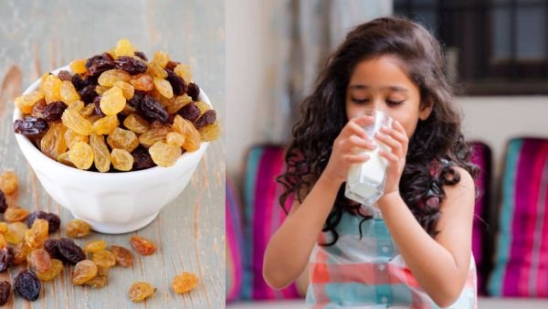 பாலுடன் உலர்ந்த திராட்சை - Raisins with Milk Health Benefits in Tamil