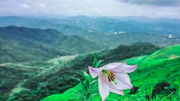 Indiaவின் ரத்தினம் என்று அழைக்கப்படும் மாநிலம் பற்றி சுவாரஸ்யமான தகவல்கள் | India gem state interesting facts in Tamil!