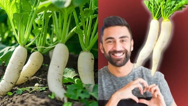 குளிர்காலத்தில் முள்ளங்கி சாப்பிட்டால் கிடைக்கும் 7 அற்புத நன்மைகள் - Radish in winter health benefits!