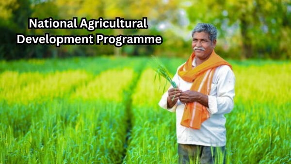 National Agricultural Development Programme - விவசாயிகளுக்கு 2 லட்சம் மானியம்!