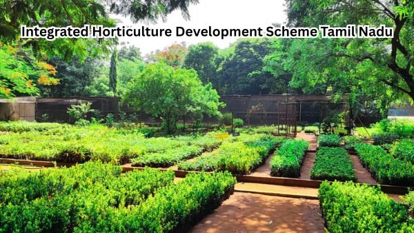 Integrated Horticulture Development Scheme TN - விவசாயிகளுக்கான தோட்டக்கலை மானியத் திட்டம்!