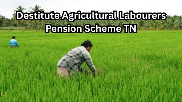 Destitute Agricultural Labourers Pension Scheme TN - ₹1000 Monthly Pension - விவசாயத் தொழிலாளர் ஓய்வூதியம்!