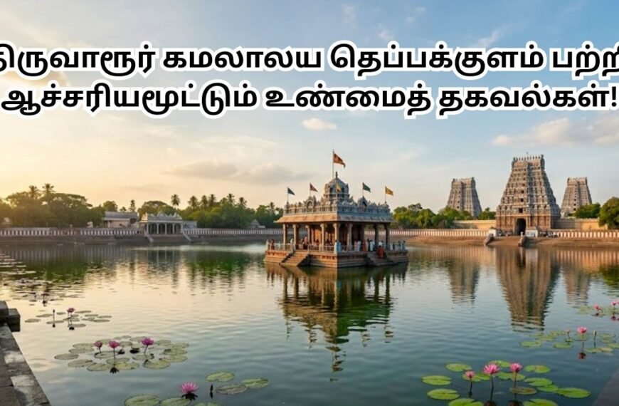 திருவாரூர் கமலாலய தெப்பக்குளம் ஆச்சரியமூட்டும் தகவல்கள்!
